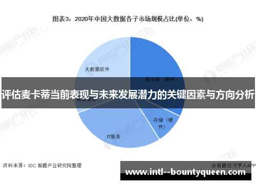 评估麦卡蒂当前表现与未来发展潜力的关键因素与方向分析 评估麦卡蒂当前表现与未来发展潜力的关键因素与方向分析