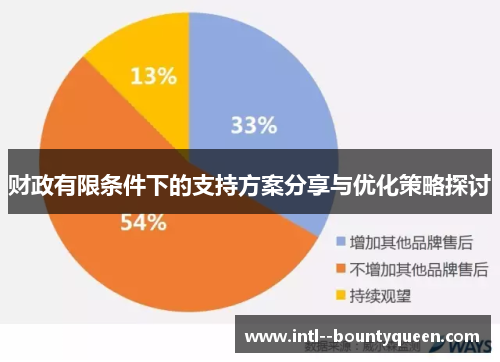 财政有限条件下的支持方案分享与优化策略探讨 财政有限条件下的支持方案分享与优化策略探讨