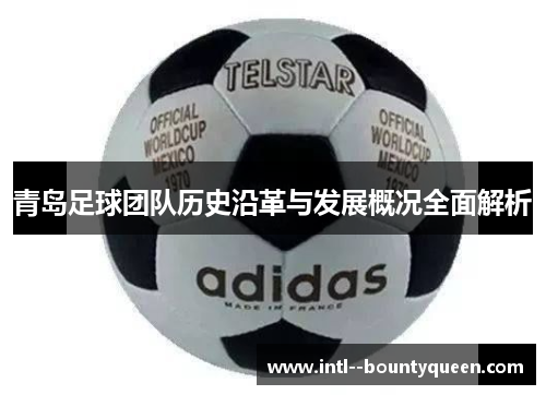 青岛足球团队历史沿革与发展概况全面解析