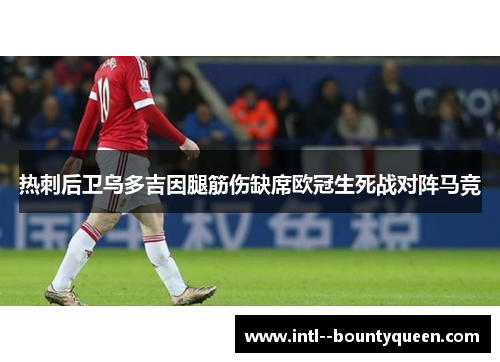 热刺后卫乌多吉因腿筋伤缺席欧冠生死战对阵马竞 热刺后卫乌多吉因腿筋伤缺席欧冠生死战对阵马竞