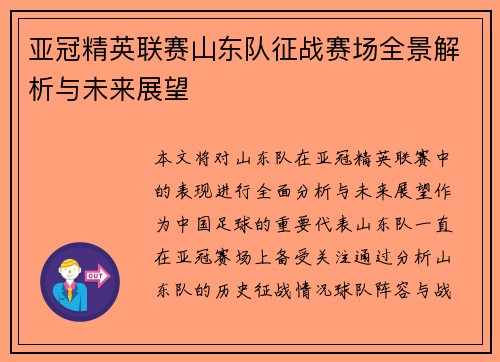 亚冠精英联赛山东队征战赛场全景解析与未来展望
