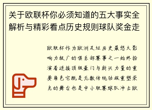 关于欧联杯你必须知道的五大事实全解析与精彩看点历史规则球队奖金走势 关于欧联杯你必须知道的五大事实全解析与精彩看点历史规则球队奖金走势