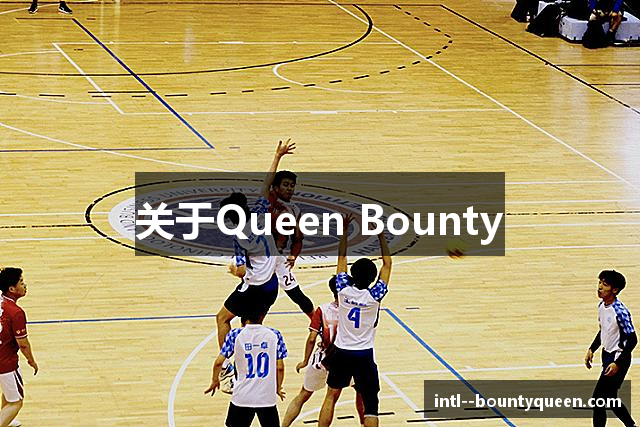 关于Queen Bounty